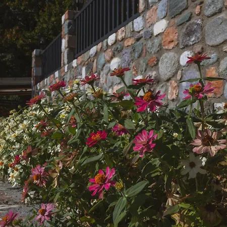 Alkyonis & Hotel Káto Loutrákion