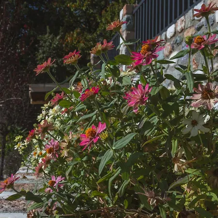 阿尔卡尤妮斯spa公寓式酒店 Káto Loutrákion