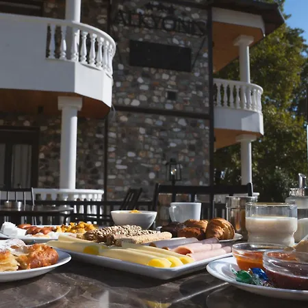 阿尔卡尤妮斯spa公寓式酒店