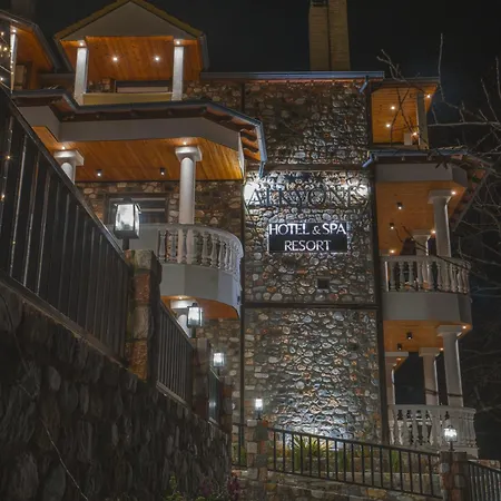 阿尔卡尤妮斯spa公寓式酒店 *