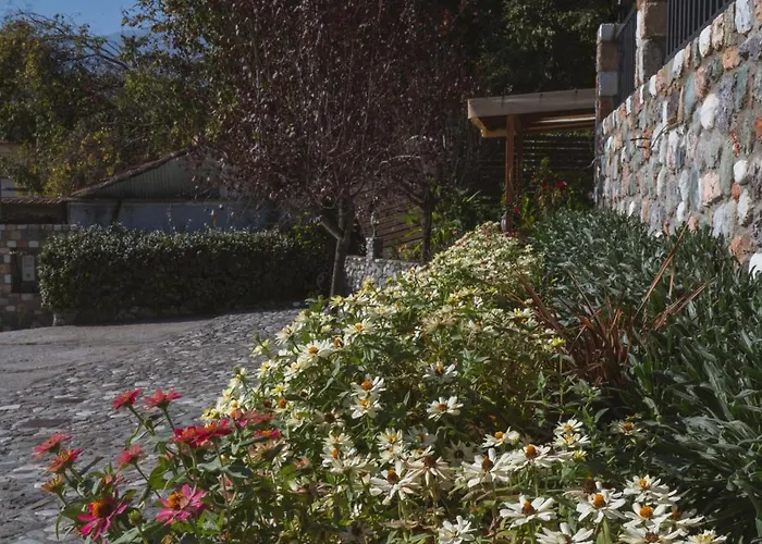 Alkyonis & * Káto Loutrákion