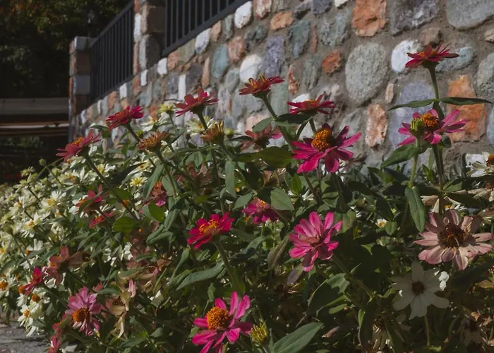 Alkyonis & Ξενοδοχείο Káto Loutrákion