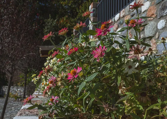 Alkyonis & Káto Loutrákion