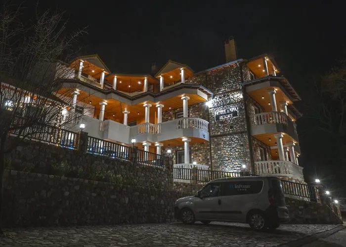 Ξενοδοχείο Alkyonis & *